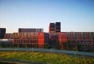 江苏适合收藏的古琴有哪些品牌