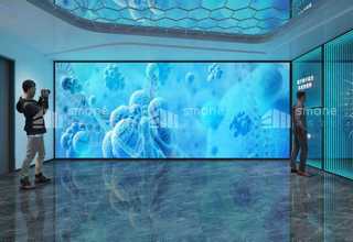 科技小巨人项目认定办理哪家好