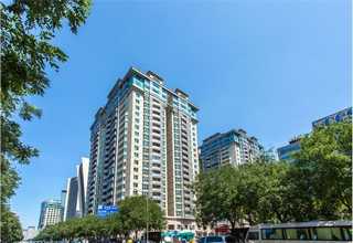 经济开发区白色系花卉租赁价格