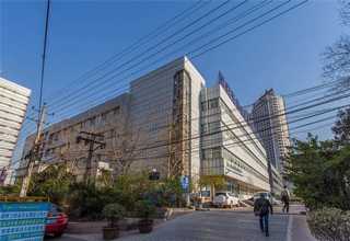 富阳区商场植物出租供应商